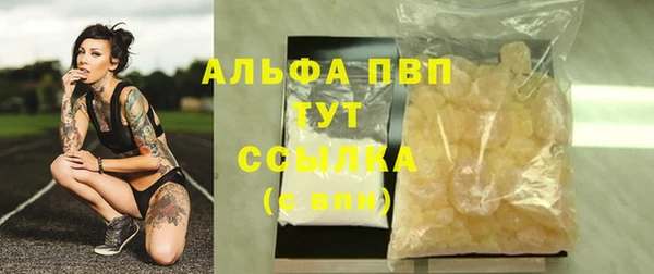 стаф Алексин